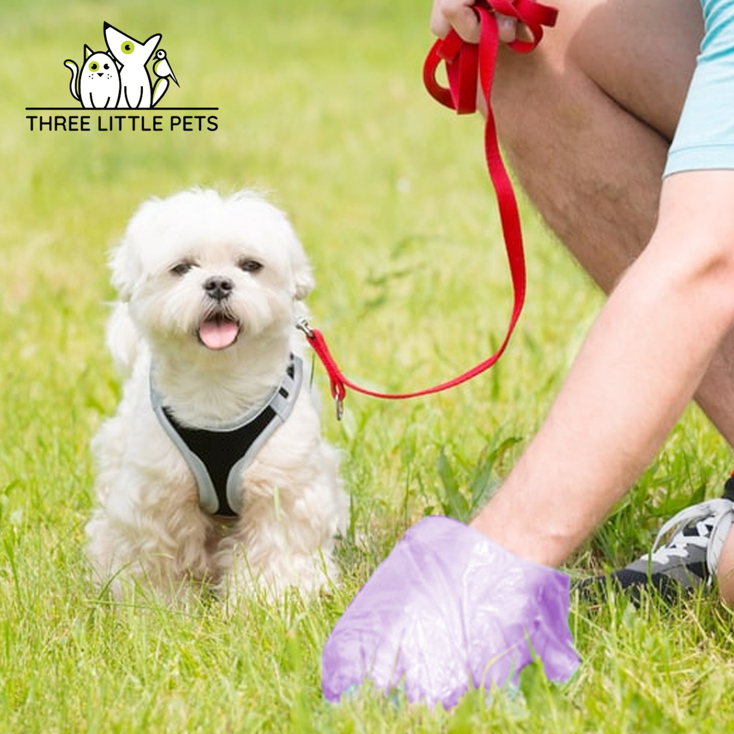 Eco-Friendly Poop Bags by Three Little Pets: Strong, biodegradable, leak-proof bags, dispenser-friendly and lightly scented.