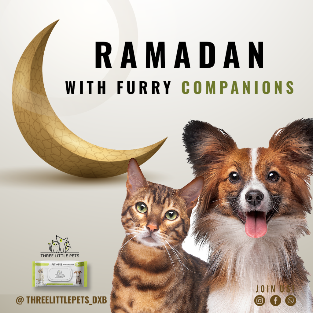 threelittlepets wipes Ramadan with Furry Companions